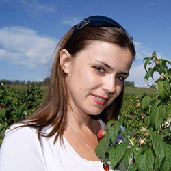 Как в голландии выращивают клубнику в открытом грунте