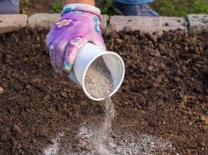 Как раскислить почву на огороде
