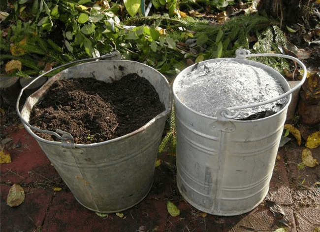 Подготовка грунта для посадки лилий