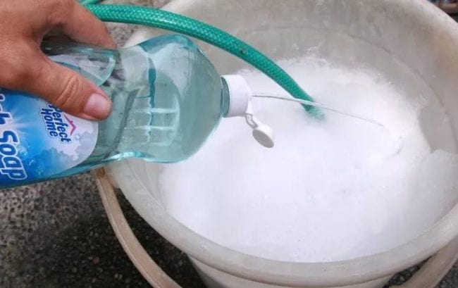 Приготовление раствора с жидким мылом для обработки клубники от вредителей