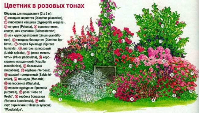 Схема розария в розовых тонах