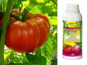 Агростим для томатов – инструкция