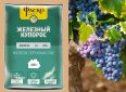 Железный купорос для винограда: применение раствора