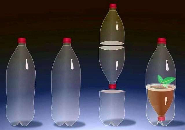 Контейнеры для рассады из пластиковой бутылки